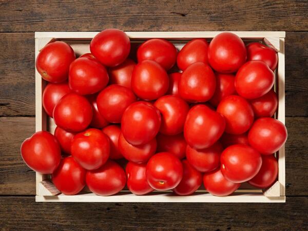 Tomates Roma