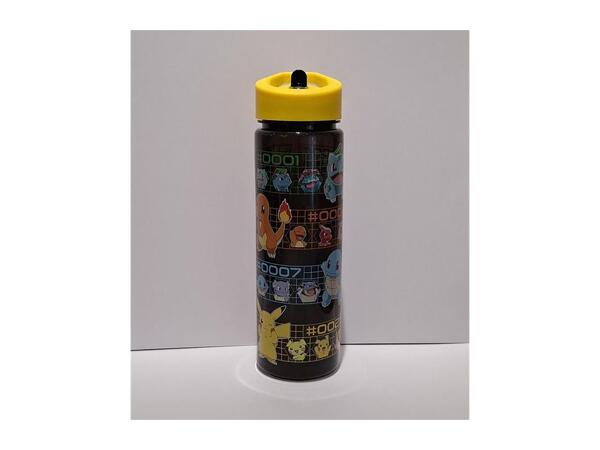 Pokemon 600ml Character Water Bottle