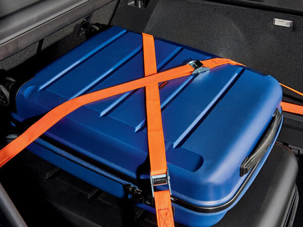 Straps or Bungee Cord Set