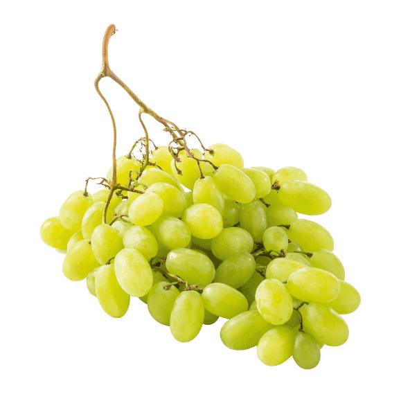Raisins bio