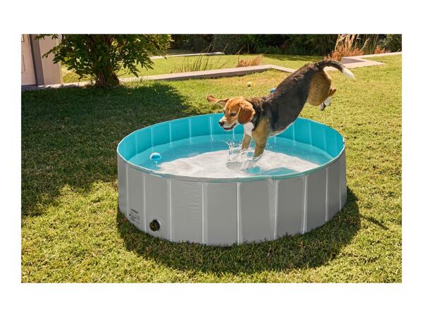 Zoofari Dog Pool