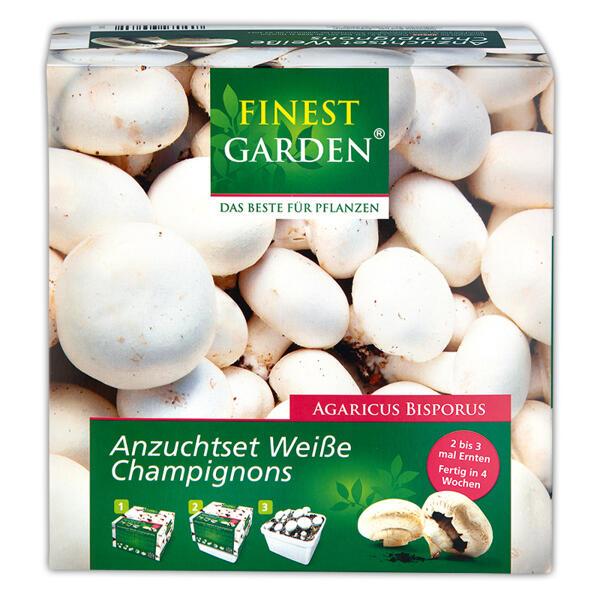 Champignon Anzuchtset
