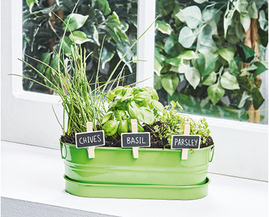 All-in-One Windowsill Garden Kit