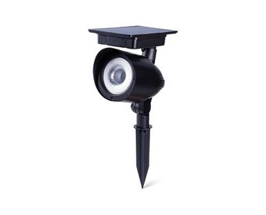 Gardenline 120 Lumen Solar Spotlight with Color Lock