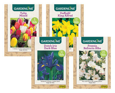 Assorted Packet Bulbs