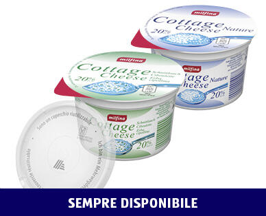 MILFINA 
 COTTAGE CHEESE