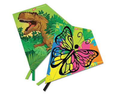 Kite