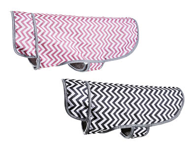 Dog Accessories