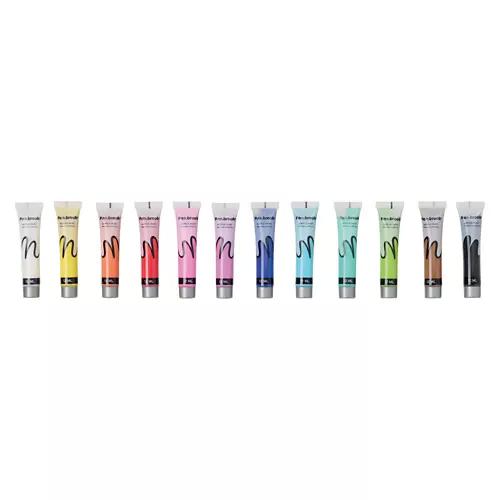12 Pack Acrylic Paint Set