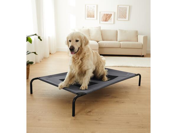Dog Bed