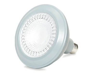 Outdoor LED Par 38