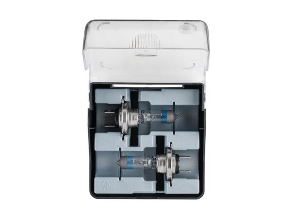 Car Headlight Bulbs