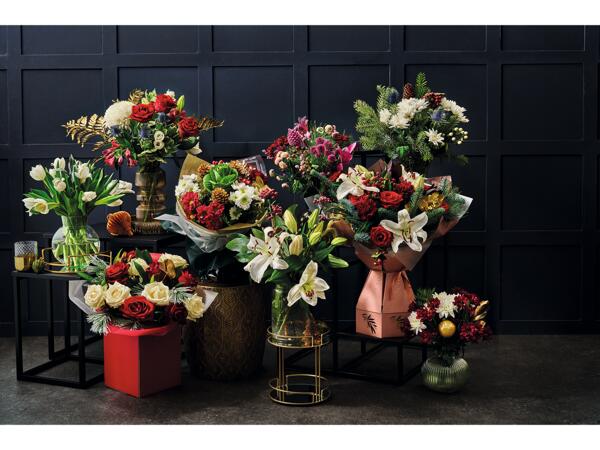 Christmas Tulips