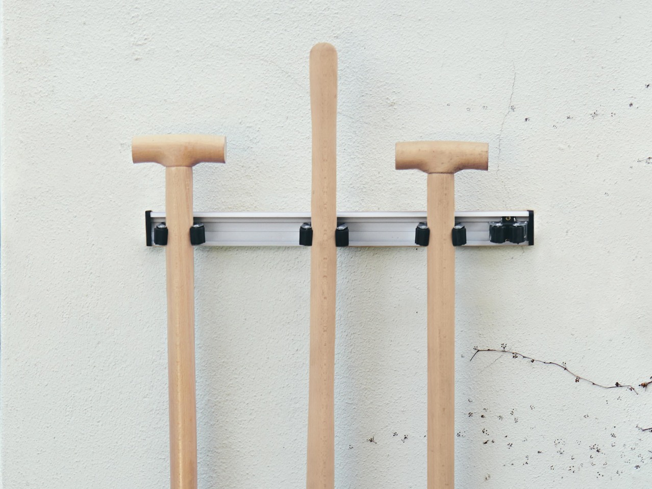 Tool Bar