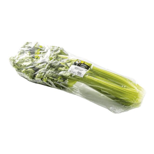 Céleri vert