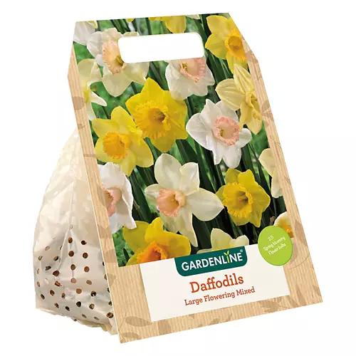 Fall Bulb - Assorted Varieties