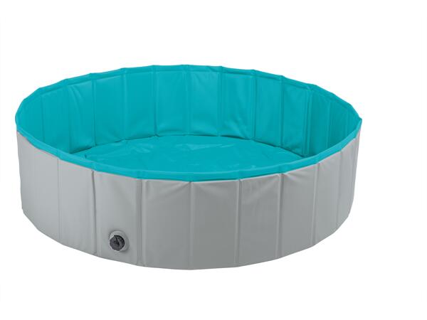 Dog Pool
