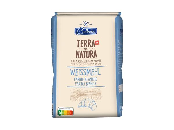 Farine blanche Terra Natura
