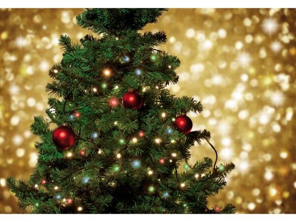 50 LED Fairy Lights