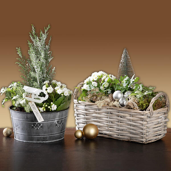 Weihnachtliches Arrangement