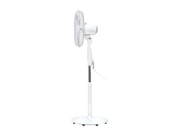 White Pedestal Fan
