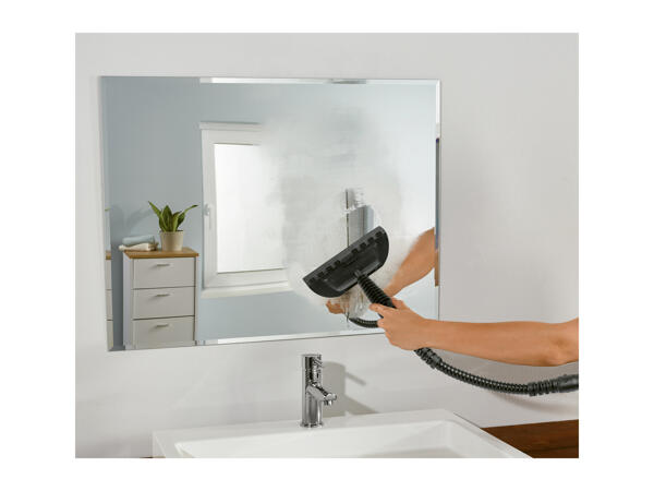 Silvercrest Hand-Held Steam Cleaner