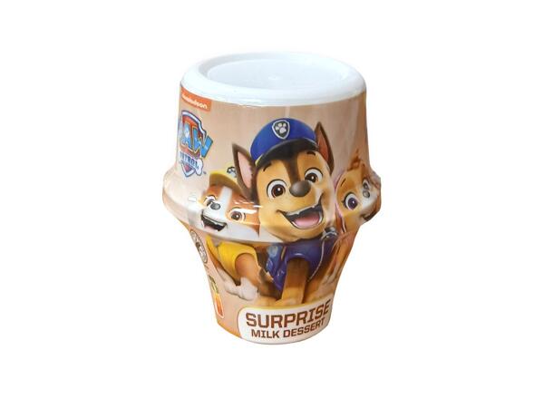 SURPRISE CUP