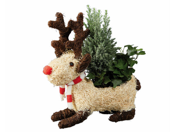 Christmas Compostion