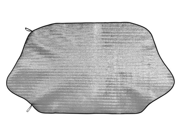 Windscreen protector
