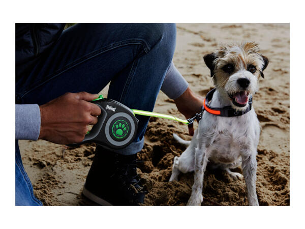 Zoofari 5M LED Retractable Lead