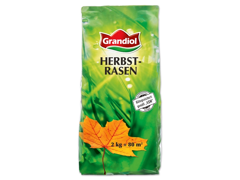 Herbstrasenmischung