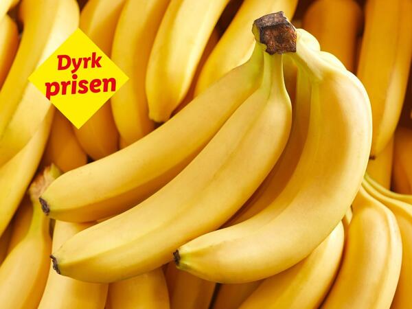 Rainforest-banan