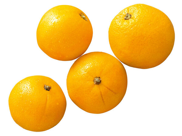 Orangen