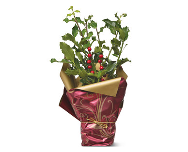Christmas Holly