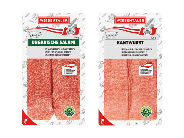Ungarische Salami oder Kantwurst