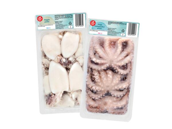 Octopus or Cuttlefish