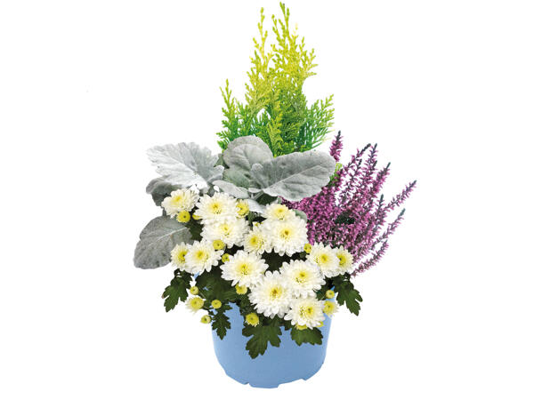 Herbstarrangement