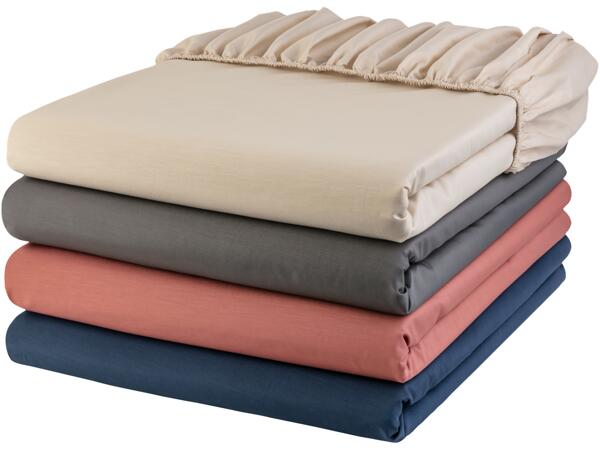 Single Fitted Sheet