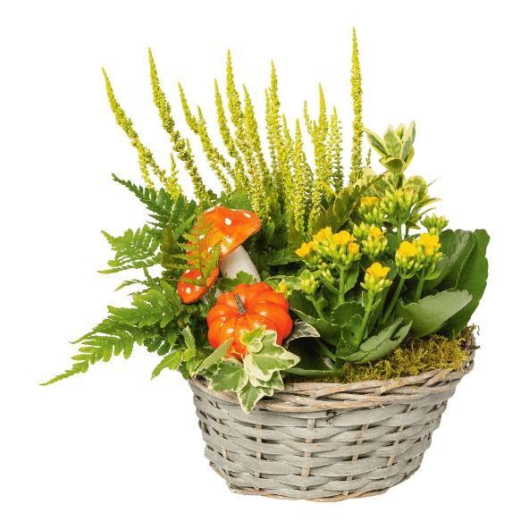 Herfstcompositie