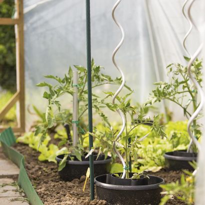 Tomaten- oder Pflanzenstütze