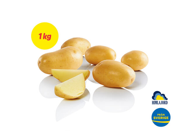 Potatis