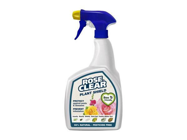 Clear Rose Clear Plant Shield