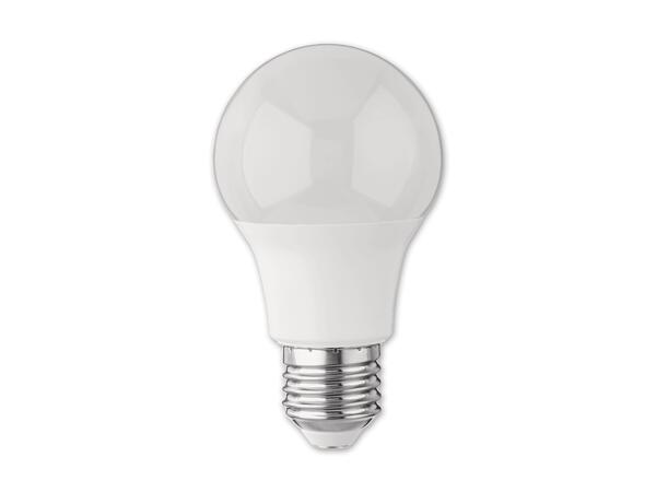 LED-Leuchtmittel