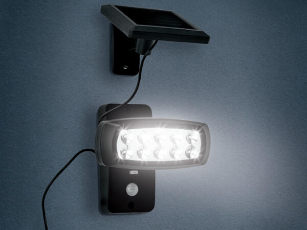 LED Solar Spotlight