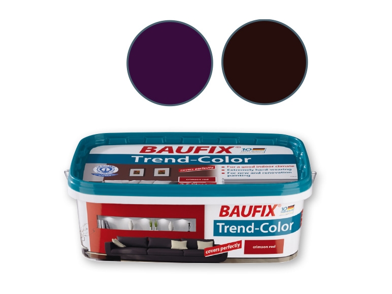 Baufix(R) Trend-Colour Paint 2.5L