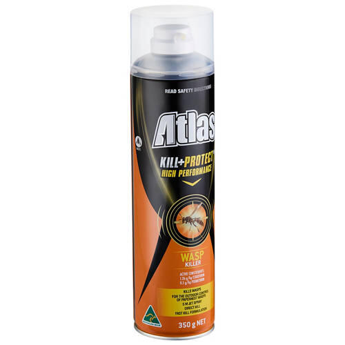 Wasp Spray 350g