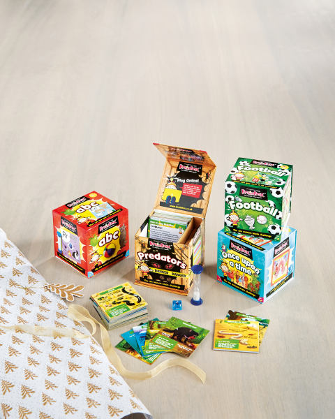 Brain Box ABC Game