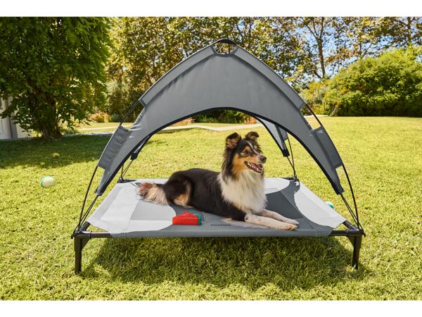 Raised Dog Bed