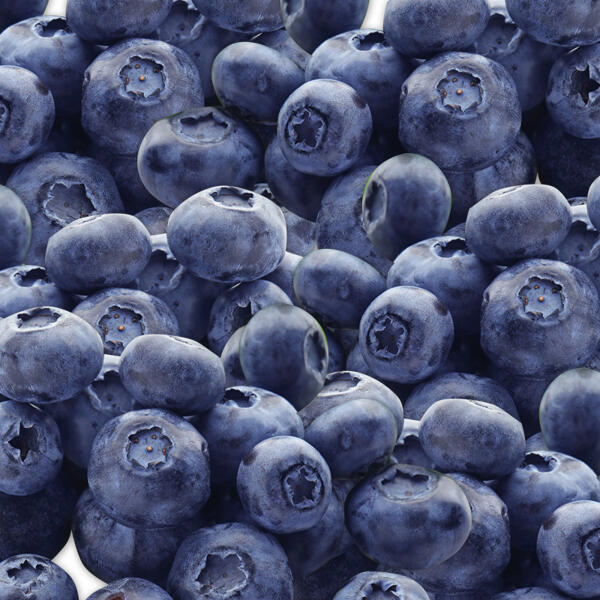 Premium Kultur-Heidelbeeren