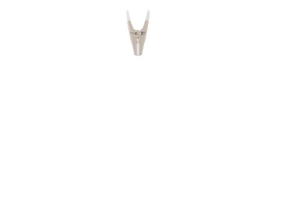 Clothes Pegs